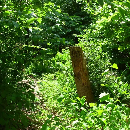 Logies Taverne Nearby Roermond, Thorn En Weert Appartamento *