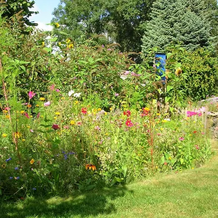 Appartamento Logies Taverne Nearby Roermond, Thorn En Weert