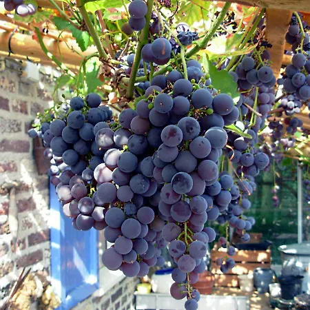 Logies Taverne Nearby Roermond, Thorn En Weert Appartamento