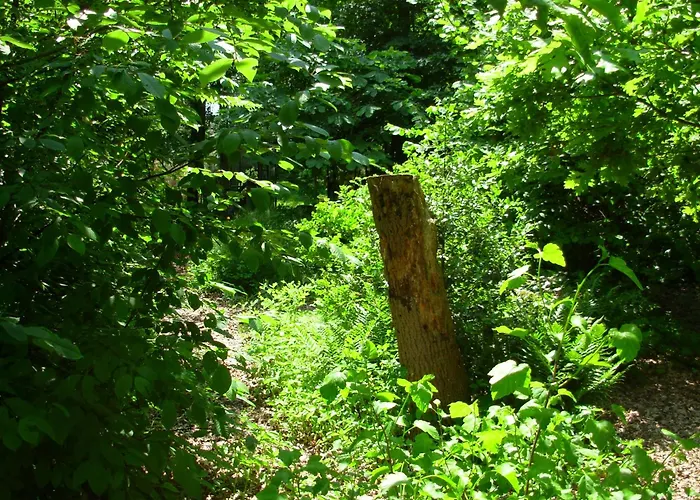 Logies Taverne Nearby Roermond, Thorn En Weert Апартаменты *