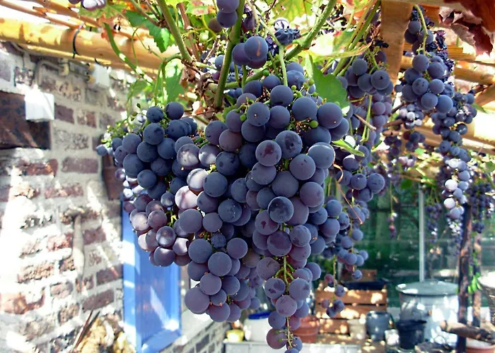 Logies Taverne Nearby Roermond, Thorn En Weert Апартаменты